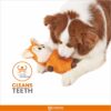 BarkButler x FOFOS Tough Fox Plush Dog Toy - Soft BarkButler x FOFOS Tough Fox Plush Dog Toy - Soft & Squeaky Toys for Dogs, Dog Toys for Medium Dogs (5-20kgs) - Orange