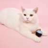 BarkButler X FOFOS Whirli Cat Toy - Interactive Cat Toys, Toys for Kitten and Adult Cats