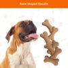 71wSZaXHqGL._SL1500_.jpg Amazon Basics Dog Biscuits for All Breeds | 1 kg (Pack of 2) | for All Life Stages