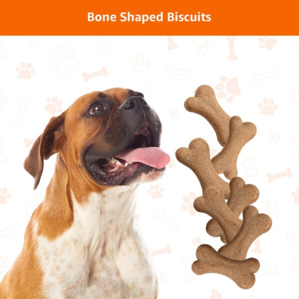 71wSZaXHqGL._SL1500_.jpg Amazon Basics Dog Biscuits for All Breeds | 1 kg (Pack of 2) | for All Life Stages