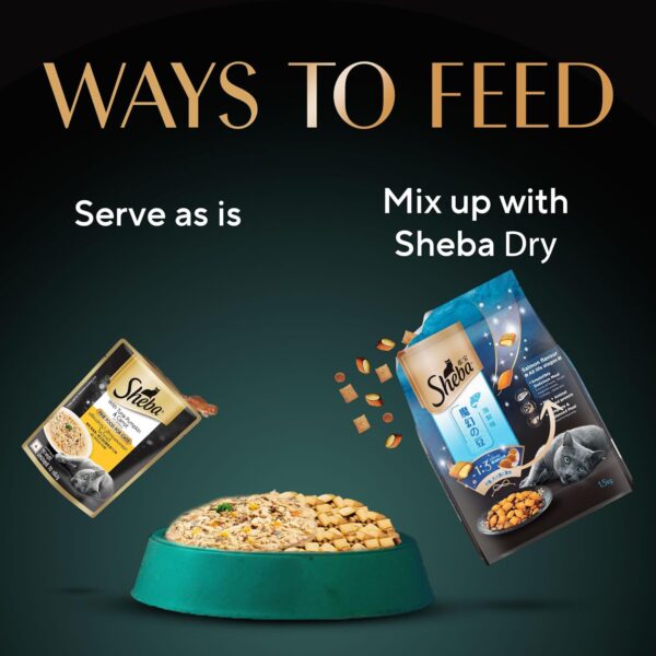 Sheba Fine Premium Adult (1+ Years) Wet Cat Food, Tuna Pumpkin & Carrot in Gravy, 70 g Pouch, High-Moisture Gravy cat Food for Healthy Hydration