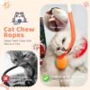 71xEDK5ZyoL._SL1500_.jpg Cat Chew Toy, Kitten Toys for Indoor Cats, Cat Toy Alligator-Shaped Plush Teething Toy with Catnip, Fun and Safe Cats Toys for Kittens