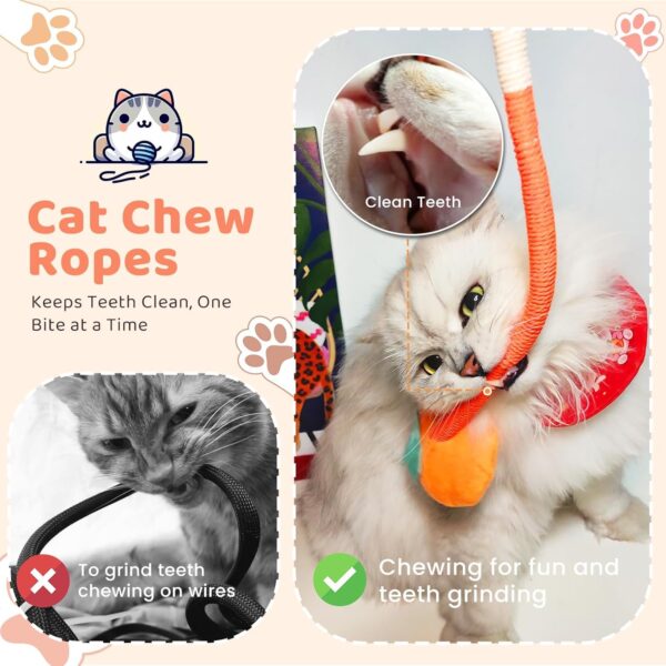 71xEDK5ZyoL._SL1500_.jpg Cat Chew Toy, Kitten Toys for Indoor Cats, Cat Toy Alligator-Shaped Plush Teething Toy with Catnip, Fun and Safe Cats Toys for Kittens