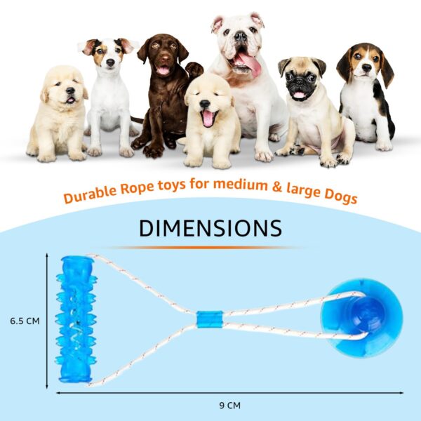 71xlOWx1CcL._SL1500_.jpg amazon basics Tug of War Interactive Dog Toy | Blue | Suction Cup | Chew Grip with Rope | Stimulating & Interactive Ball for Teeth Cleaning