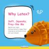 71xqbcDmUHL._SL1500_.jpg Hedgehog – Squeaky Toys for Dogs, Latex Dog Toys for Large Dogs (0–30kgs) – Orange