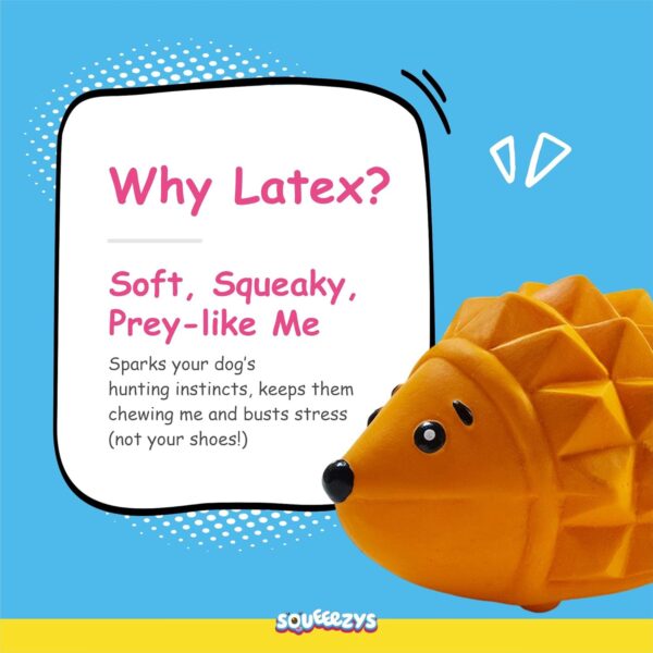 71xqbcDmUHL._SL1500_.jpg Hedgehog – Squeaky Toys for Dogs, Latex Dog Toys for Large Dogs (0–30kgs) – Orange