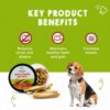Goofy Tails Active Carrot and Yam Dental Stick 220g Dog Treats Non-Vegetarian, Dental Sticks for Dogs, Chew Sticks for Dogs, Dog Treats for Adult Dog and Puppies, Dog Chew Stick