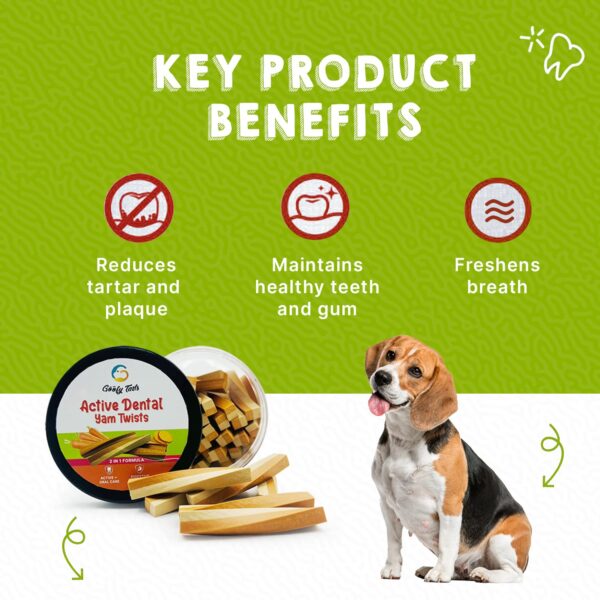 Goofy Tails Active Carrot and Yam Dental Stick 220g Dog Treats Non-Vegetarian, Dental Sticks for Dogs, Chew Sticks for Dogs, Dog Treats for Adult Dog and Puppies, Dog Chew Stick