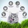 71ybRTXKTgL._SL1500_.jpg Trixie Cat Grass Seeds with Plastic Planter for Kittens and All Cats, Soft, Vitamin-Rich, Easy Grow, Nutritious & Natural, Supports Health & Digestion, 100 g