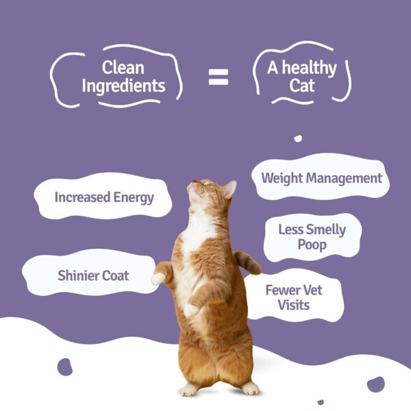 71zWzVmXfL._SL1500_.jpg BLEP Cat Food | 700g | Cat Wet Food, Food for Adult & Kitten, High Protein, Omega 3&6, Contains Mackerel, Chicken, Fish Oil, Flex Seeds, Zero Preservatives, Digestible, Human Grade(7Packs of 100g)