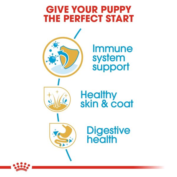 Royal Canin Golden Retriver Puppy Food, 3 Kg, Dry Food, Helps with Healthy Skin & Coat, Supports Immune System & Digestive Health