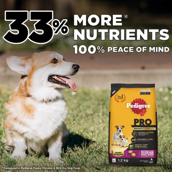 Pedigree PRO Mother & Pup Starter Small Breed, 1.2 kg Dry Dog Food, Vet Trusted Brand, Expert Nutrition, Quality Protein, 33% More Nutrients (3-12 Weeks)
