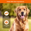 71zYFRTULyL._SL1500_.jpg Amazon Basics Dog Calcium Bones | for All Breeds | Milky Bones | 800 g | All Life Stages