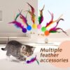 8144KEfkWL._SL1500_.jpg Sunkizzrs® Cat Toys - Interactive Toy Set with Retractable Teaser Wands and Feather Toys - Activity Toys to Exercise Cats and Kittens (Only 6 Feather Balls Replace Heads)