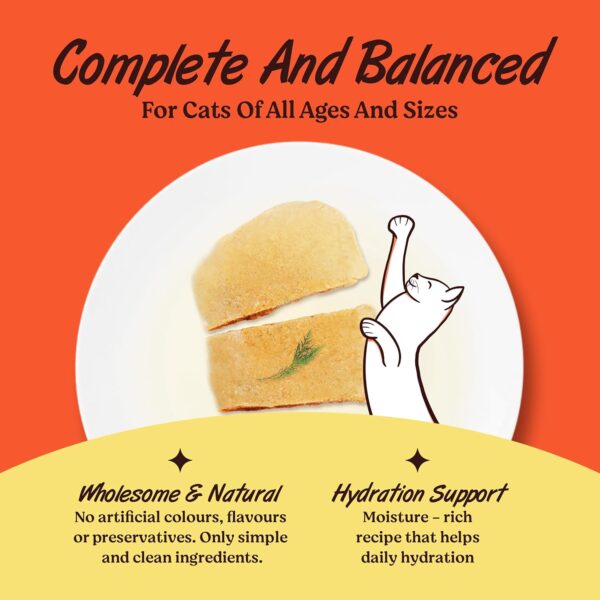 Kennel Kitchen Grain Free Wet Cat Food for Adults and Kittens, Chicken in Jelly, 12 Pouches (12 x 80 GMS)