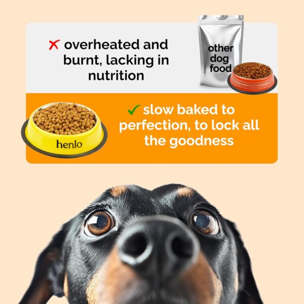 81Nl81lNmL._SL1500_.jpg Henlo Baked Chicken & Rice Dry Dog Food | 100% Human Grade Ingredients | 800G