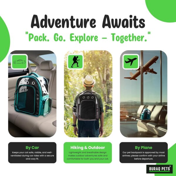 Buraq Breathable Design Pet Carrier Backpack for Hot Weather Travel, Hiking, Ventilated, Touring, Airline-Approved, Sturdy Base cat Bag for Cats Kitten Puppy (Black, Transpicuous See-Through)