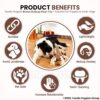 Foodie Puppies Dog Squeaky Plush Rope Toy - (Brown Bulldog Plush Toy) | Crinkle, Non-Toxic, Stuffed, Teething, Chewing, Playing, & Tug-of-War | for Small Dogs and Puppies (Size: 29cm)