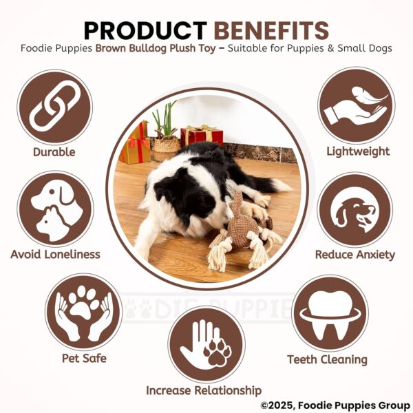 Foodie Puppies Dog Squeaky Plush Rope Toy - (Brown Bulldog Plush Toy) | Crinkle, Non-Toxic, Stuffed, Teething, Chewing, Playing, & Tug-of-War | for Small Dogs and Puppies (Size: 29cm)