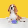 81mupSDRYL._SL1500_.jpg BarkButler x FOFOS Fruity-Bites Loud Grape- Chew & Squeaky Toys for Dogs, Dog Toys for Large Dogs (10-30kgs) - Purple