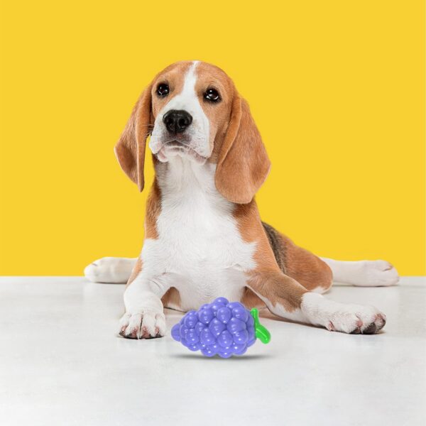 81mupSDRYL._SL1500_.jpg BarkButler x FOFOS Fruity-Bites Loud Grape- Chew & Squeaky Toys for Dogs, Dog Toys for Large Dogs (10-30kgs) - Purple
