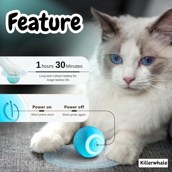 81-C9zta8vL._SL1500_.jpg KILLERWHALE Interactive Smart Cat Toy Ball – 360° Self-Rolling Motion with LED Lights, Rechargeable via Type-C, Automatic Gravity Sensor, Engaging Kitten & Pet Play Toy