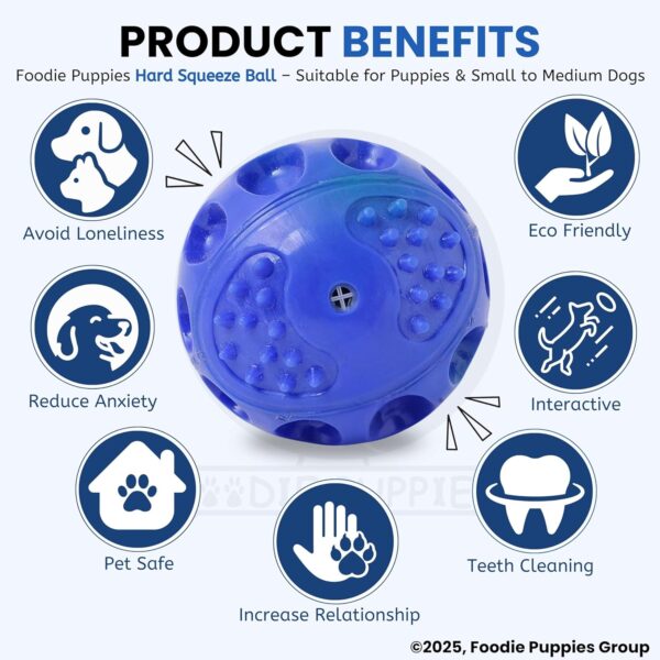 81-XjEA3qDL._SL1500_.jpg Foodie Puppies Hard Squeeze Squeaky Ball Dog Toy | Squeaker, Lightweight, Durable and Water Resistant | Interactive Fetch Toys for Puppy, Dog Chew Toys (Color May Vary) (Medium)