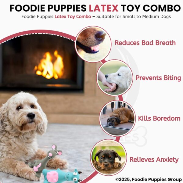Foodie Puppies Latex Squeaky Dog Toys Combo - (Grey Mouse and Blue Bull) | Durable, Animal Design Chew Toy for Teething, Fetching & Playing | Suitable for Cats, Kitten, Small to Medium Dogs & Puppies