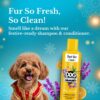BARK OUT LOUD Festive Gift Box for Dogs | Premium Gift Hamper with Soft Chews, Shampoo, Supplements & Protein Bar | Ideal Gift for All Dog Breeds & Ages