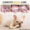 Foodie Puppies Durable Nylon Chew Toy (Arched Bone, Small, 10.5cm) for Small Dogs & Puppies | Tough Treat Toy for Teething, Training & Aggressive Chewers of All Breeds