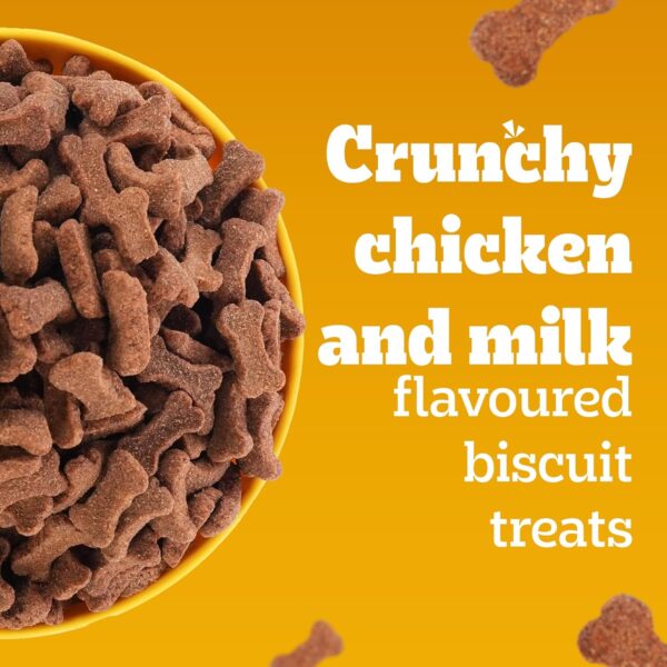 Pedigree Biscrok Biscuits (Above 4 Months) Dog Treats, Chicken with Milk Flavour, 900 g, Source of Calcium, Goodness of 15% Protein