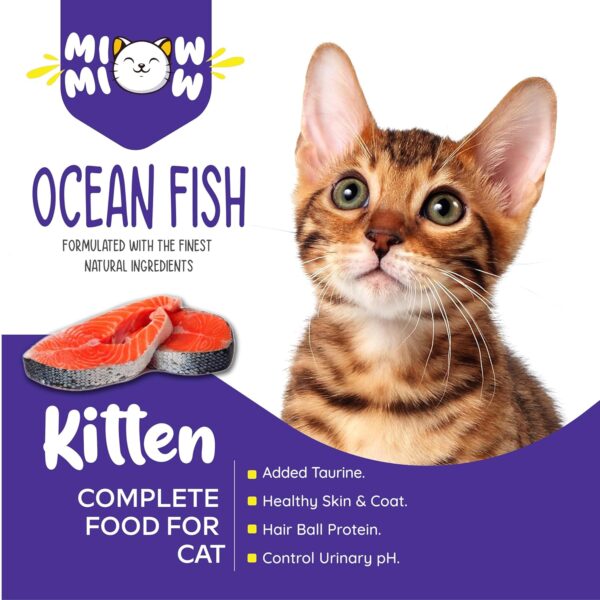 810qhHPCRPL._SL1500_.jpg Kitten Ocean Fish, Complete Food for Cat | Formulated with Finest Ingredients (50g)