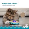 Petstages 701 Spin and Scratch Cat Catnip Toss and Bat Toy