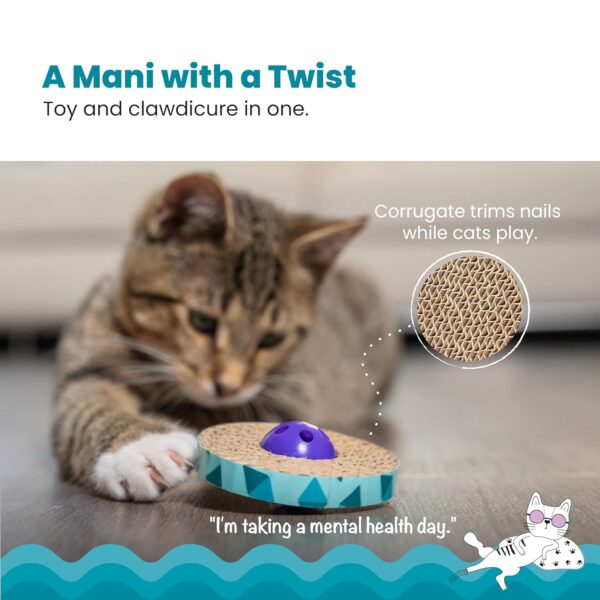Petstages 701 Spin and Scratch Cat Catnip Toss and Bat Toy