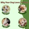 Foodie Puppies 2in1 Dog Toy Combo - (9inch Bone + Claw Ball) | Natural Latex Rubber Toys for Medium to Large Dogs | Durable, Chewing, Fetching, Playing, Teething & Training Chew Safe Play Toy