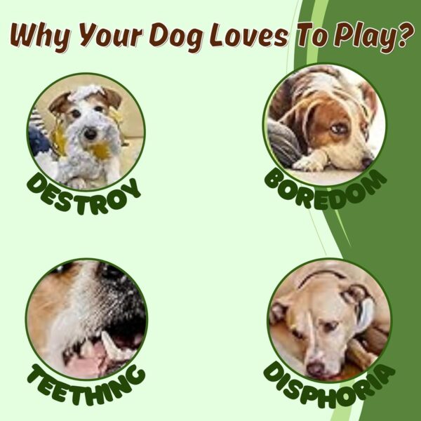 Foodie Puppies 2in1 Dog Toy Combo - (9inch Bone + Claw Ball) | Natural Latex Rubber Toys for Medium to Large Dogs | Durable, Chewing, Fetching, Playing, Teething & Training Chew Safe Play Toy