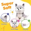Webby Plush Husky Dog Stuffed Animal Puppy Soft Toy, Birthday Gift, Adorable Gifts for Kids and Adult, Glitter Eyes Soft Toy, 35CM (Grey) | for Boys & Girls
