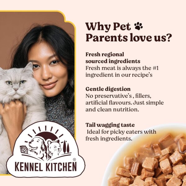 811uPBO07rL._SL1500_.jpg Kennel Kitchen Wet Cat Food for Adults and Kittens, Fish Chunks in Gravy, 12 Pouches (12 X 80 GMS)