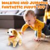 VGRASSP Walking and Jumping Puppy Toy for Kids - Battery Operated Back Flip Jump Dog with Sound - Color As Per Stock