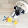 BarkButler x FOFOS Puppy Teething Squeaky Toy Giraffe Dog Toy - Yellow, Multi-Material, Squeaky Dog Toys, Ideal Puppy Toys for All Breeds of X-Small - Small Size (0-10kgs)
