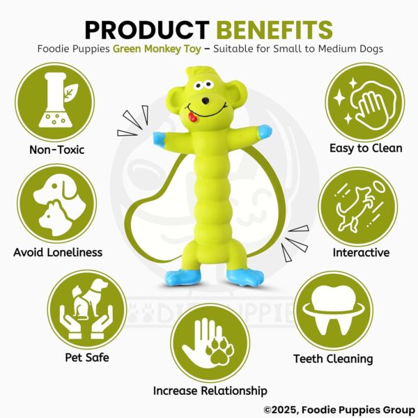 Foodie Puppies Interactive Latex Squeaky Chew Dog Toy - (Green Monkey, 20cm) | Small to Medium Dogs & Puppies | Durable, Rubber, Non-Toxic, Animal Design Playing & Fetching Pet Toy | Reduce Anxiety