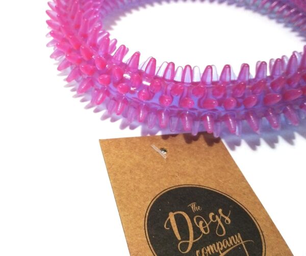 813m2RoojYL._SL1500_.jpg The Dogs Company Rubber Dental Puppy Teething Spike Ring Chew Toy, 6 inches, Colour May Vary