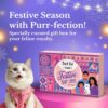 BARK OUT LOUD Festive Gift Box for Cats | Premium Gift Hamper with Duck Chews, Tuna & Chicken Mousse, Cat Pillows & Calming Supplements | Ideal Gift for All Cat Breeds & Ages