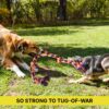 BOLTZ Cotton Rope Chew Toy for Dogs Large with 5 Chew Knots 25 Inch in Length