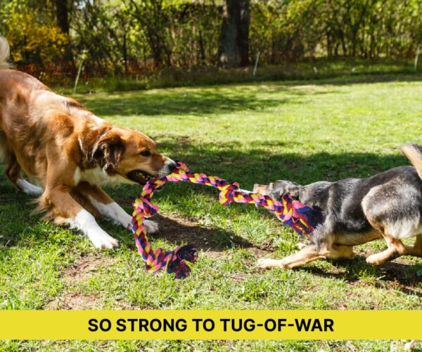 BOLTZ Cotton Rope Chew Toy for Dogs Large with 5 Chew Knots 25 Inch in Length