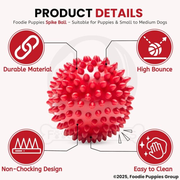 815YfwhxcmL._SL1500_.jpg Foodie Puppies Natural Rubber Spike Ball - 2.8inch/ 7cm | Suitable for Small to Medium Dogs and Puppies | Chewing, Teething, and Training Bouncy Ball Toy