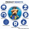 Foodie Puppies Interactive Non-Toxic Soft Latex Squeaky Chew Toy for Puppies and Small Dogs (Hedgehog - Small) | Chewing, Floating, Training, and Bouncing | Reduce Separation Anxiety