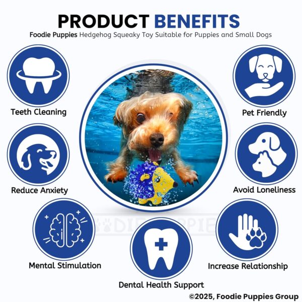 Foodie Puppies Interactive Non-Toxic Soft Latex Squeaky Chew Toy for Puppies and Small Dogs (Hedgehog - Small) | Chewing, Floating, Training, and Bouncing | Reduce Separation Anxiety