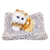 FunBlast Cute Cat Plush Toy with Meow Sound, Toy Accessories for Car Dashboard & Home Décor, Gift for Kids, Realistic Cat Pet Toys with Bed