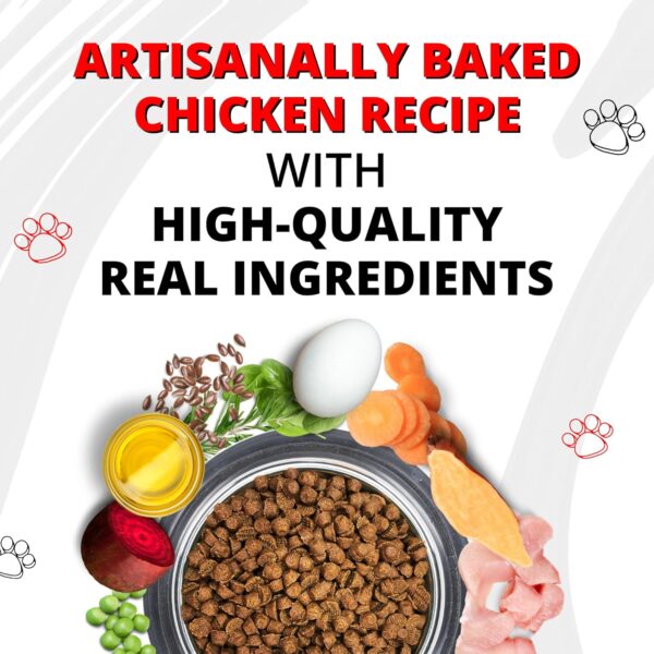 8173koUZYSL._SL1500_.jpg Luvin Artisanally Baked Premium Dry Cat Food - 1.5Kg | Cat & Kitten 6m+ | Digestive Care Optimal Growth Formula for All Life Stages